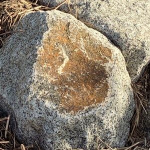 BOOKMARK FOR UPDATES AND SHENANIGANS!